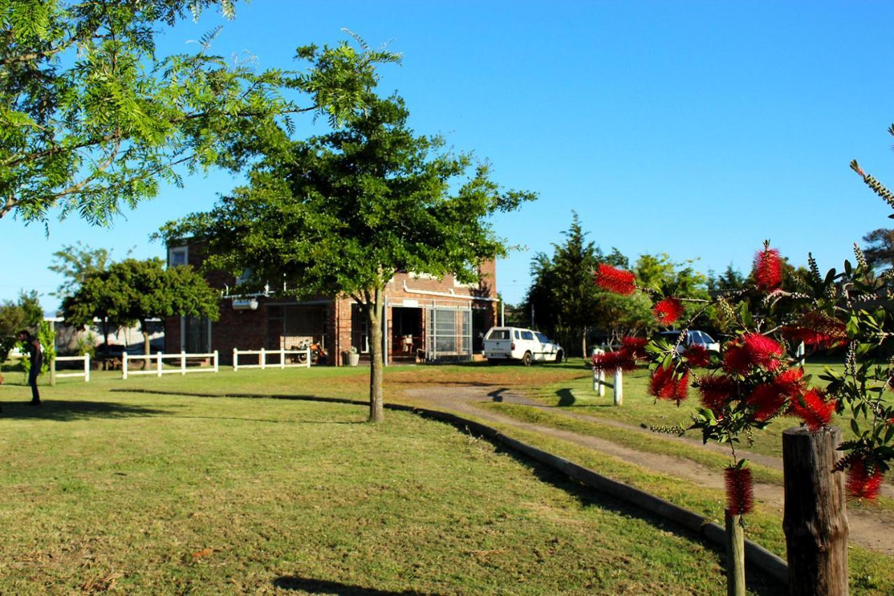 African Adventures Accommodation Durbanville Dış mekan fotoğraf