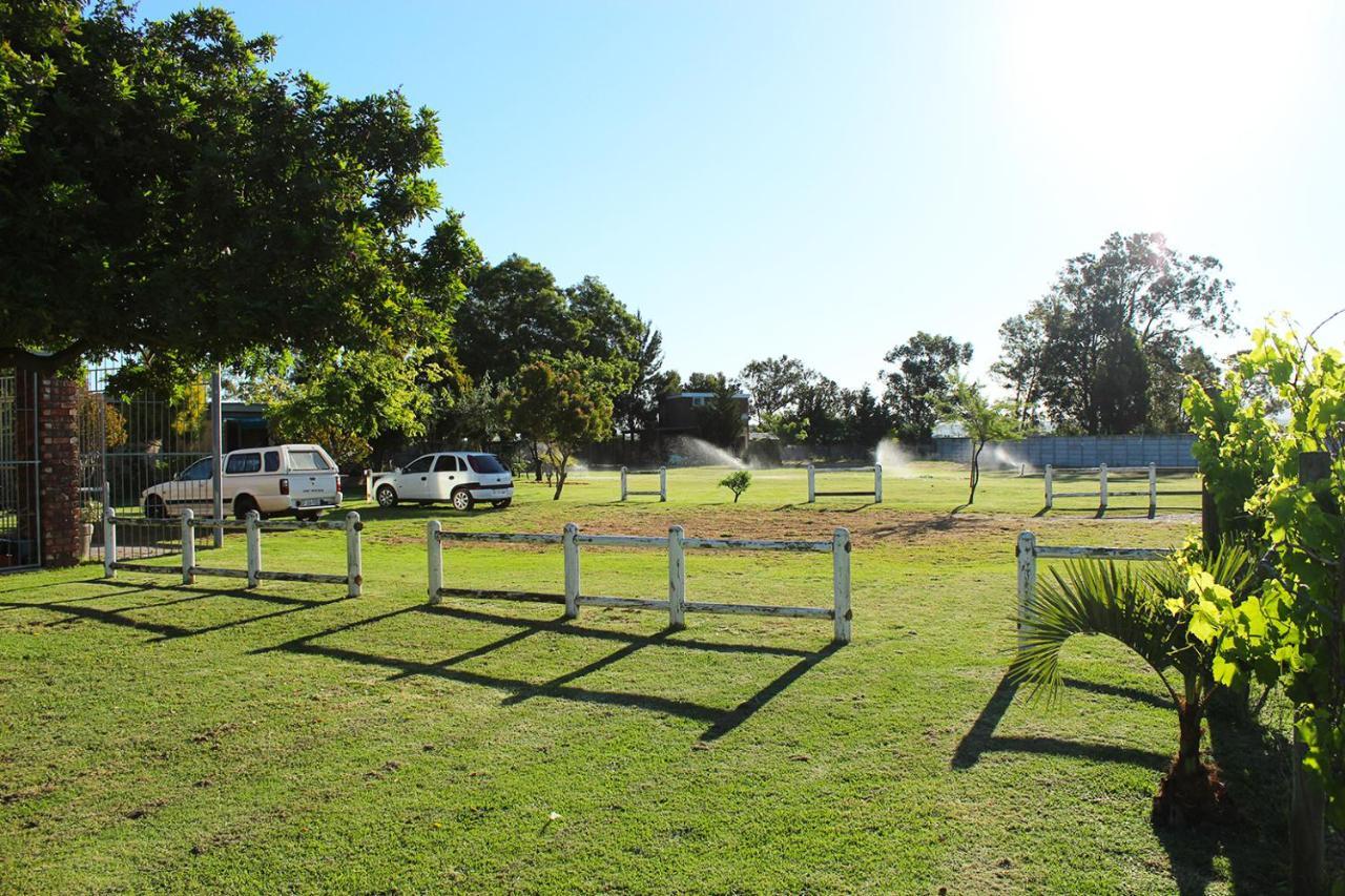 African Adventures Accommodation Durbanville Dış mekan fotoğraf