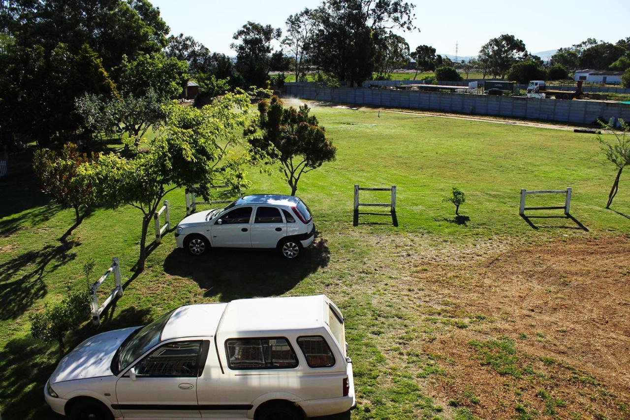 African Adventures Accommodation Durbanville Dış mekan fotoğraf